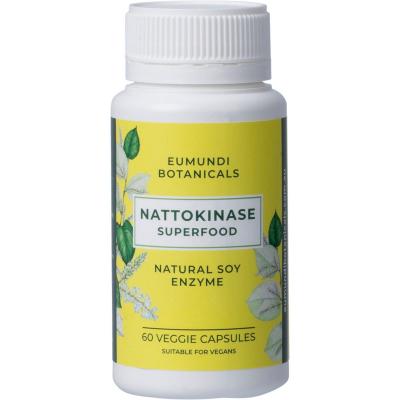 Nattokinase Natural Soy Enzyme 60 Caps