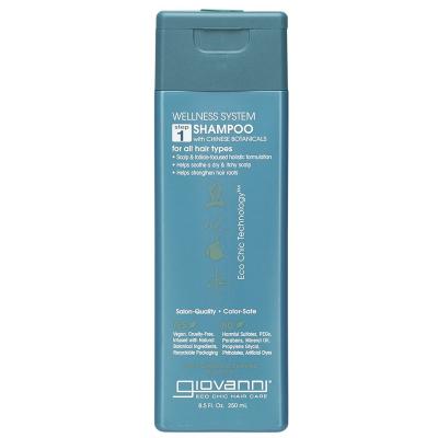 Shampoo Wellness System 250ml