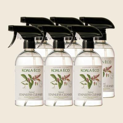 Stainless Steel Cleaner Peppermint 6x500ml