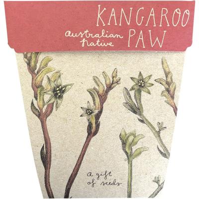 Gift of Seeds Kangaroo Paw